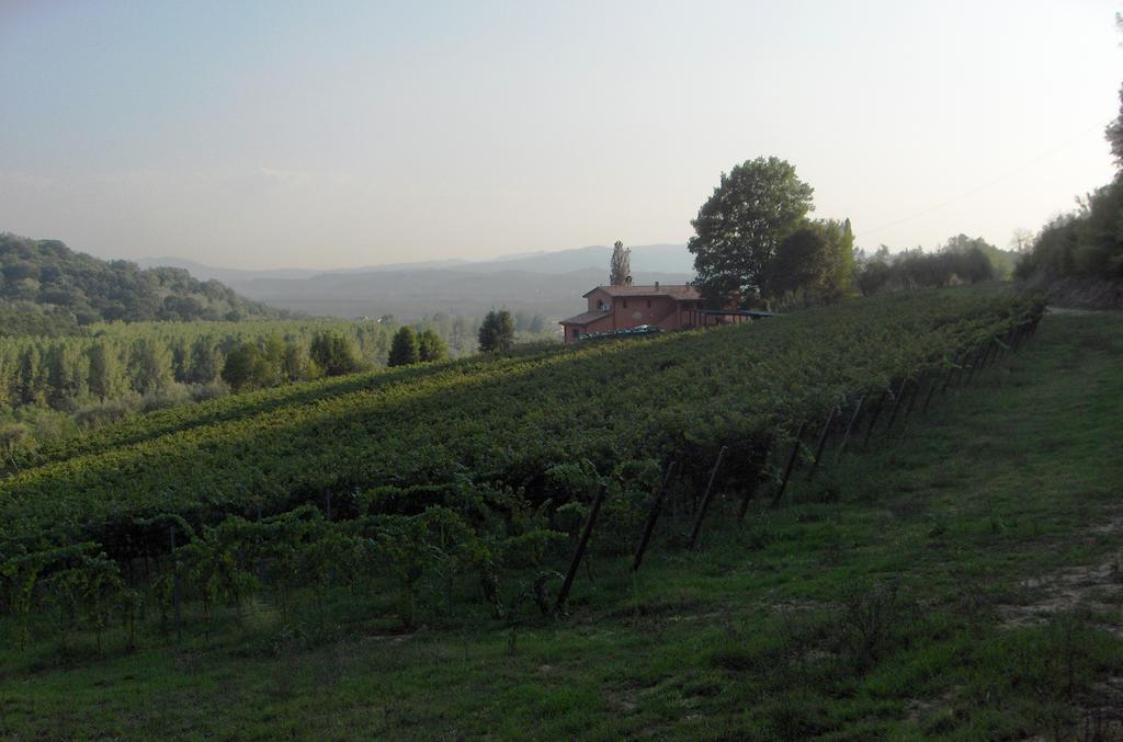 Podere Chiaromonte Палайя Екстер'єр фото