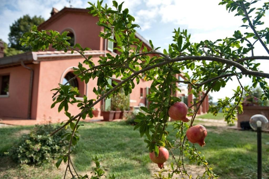 Podere Chiaromonte Палайя Екстер'єр фото